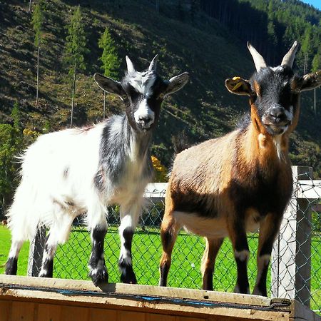Appartamento Sattlehnerhof Ramsau am Dachstein Esterno foto