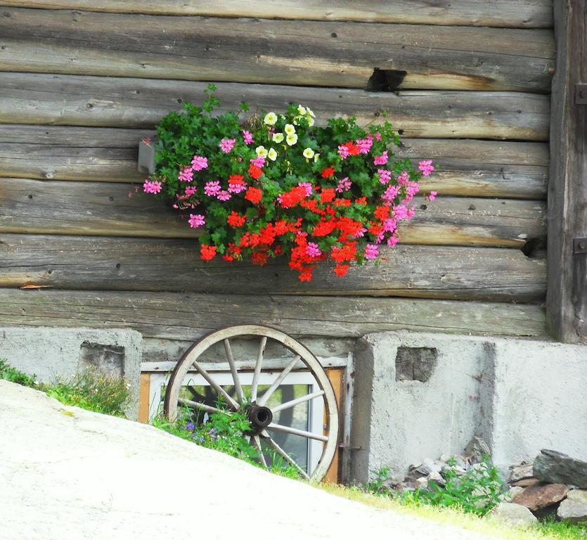 Appartamento Sattlehnerhof Ramsau am Dachstein Esterno foto