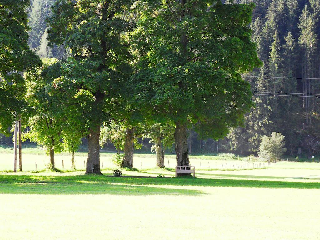 Appartamento Sattlehnerhof Ramsau am Dachstein Esterno foto